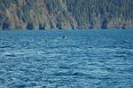aDSC_3573