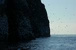aDSC_3596